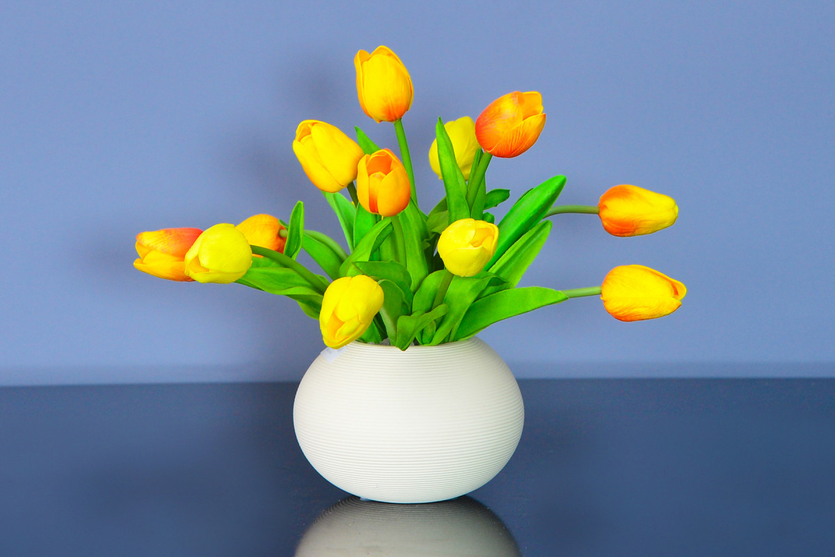 Hoa Tulip, biểu tượng quyến rũ của đất nước Hà Lan (phần 2)